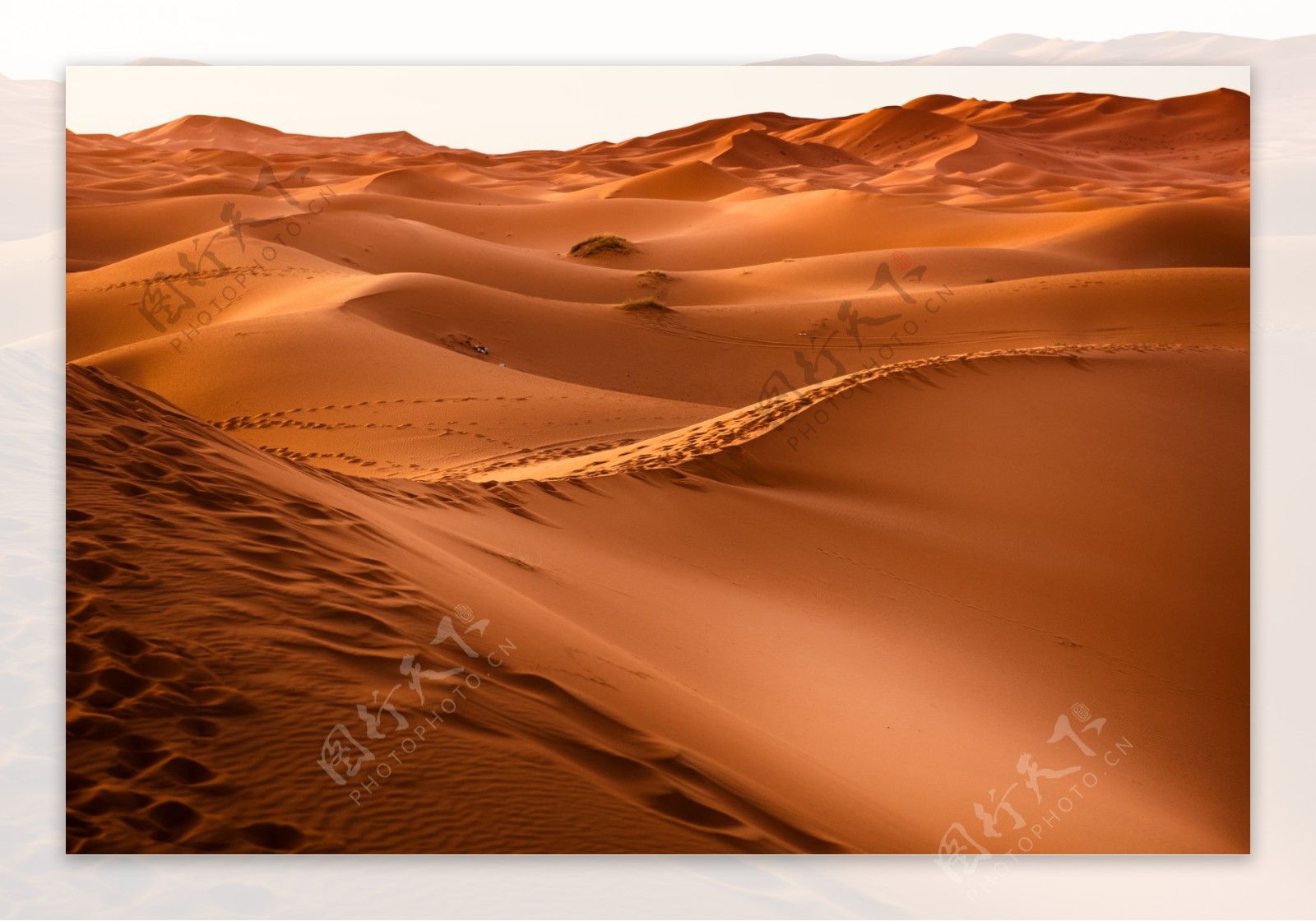 荒凉沙漠沙丘