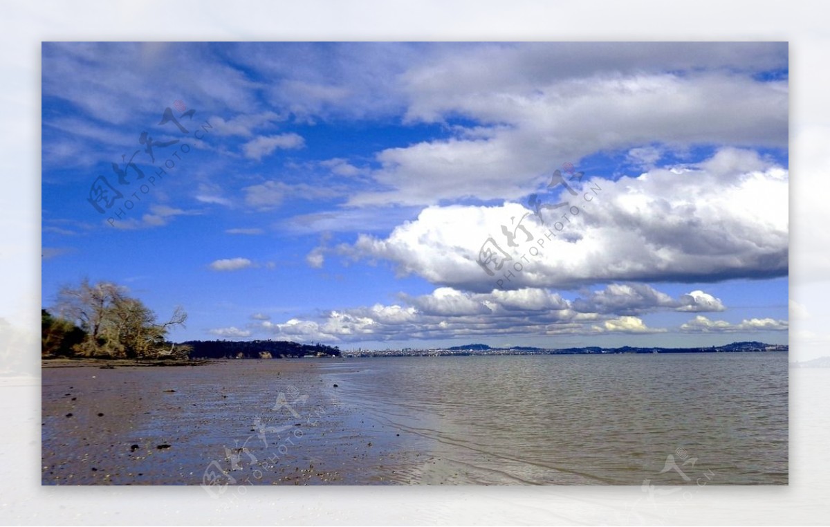 奥克兰海滨风景