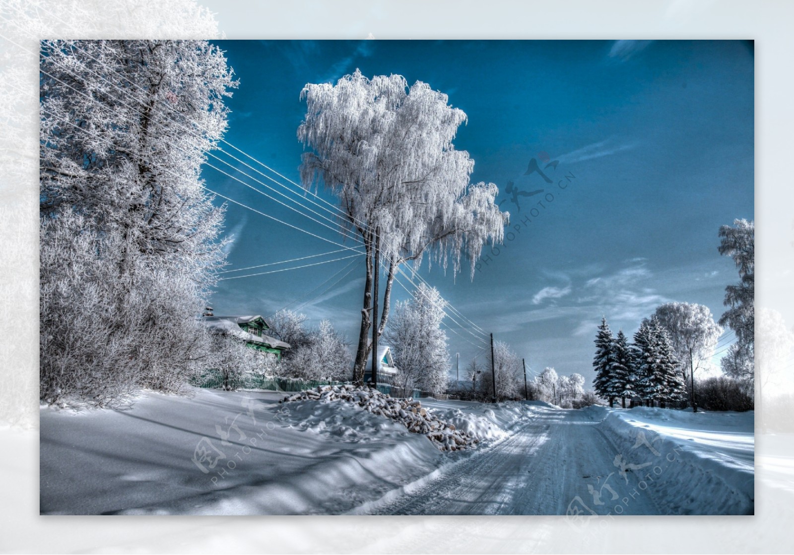 冬雪景观