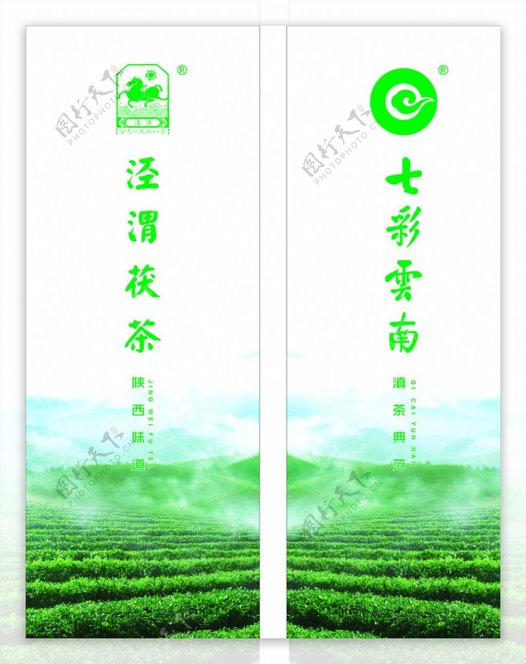 绿色美观高端茶叶海报