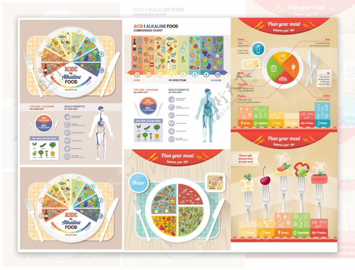 健康饮食分析图表