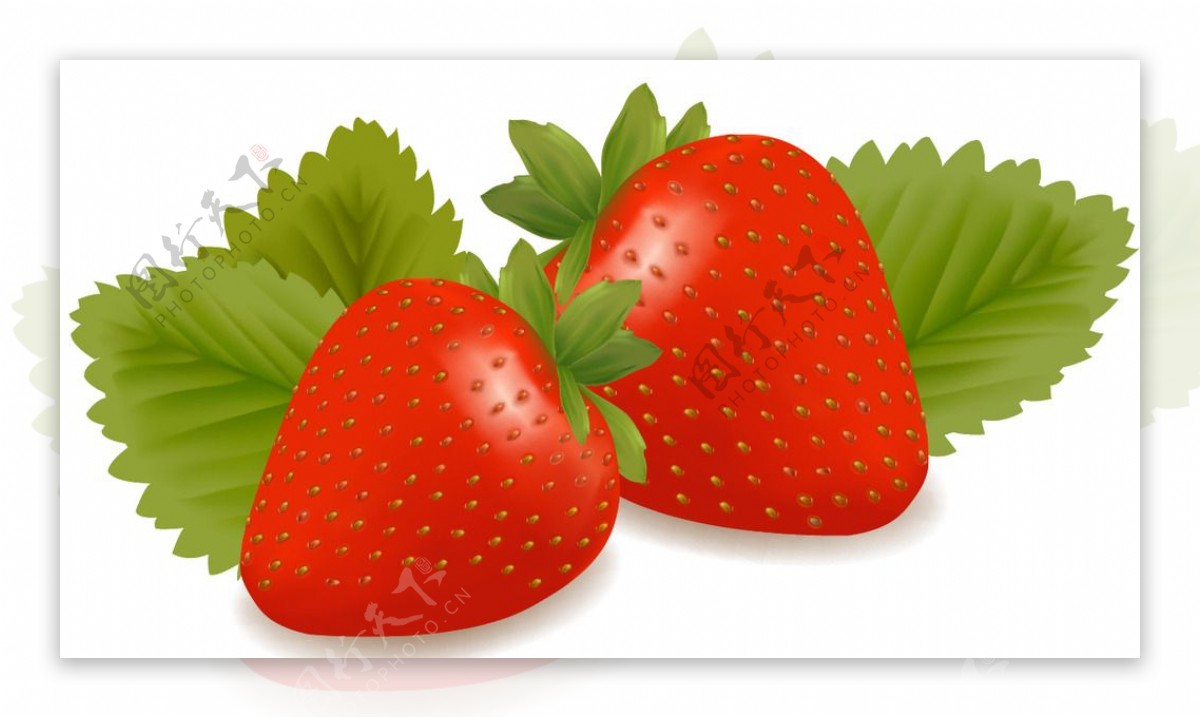 草莓水果矢量素材