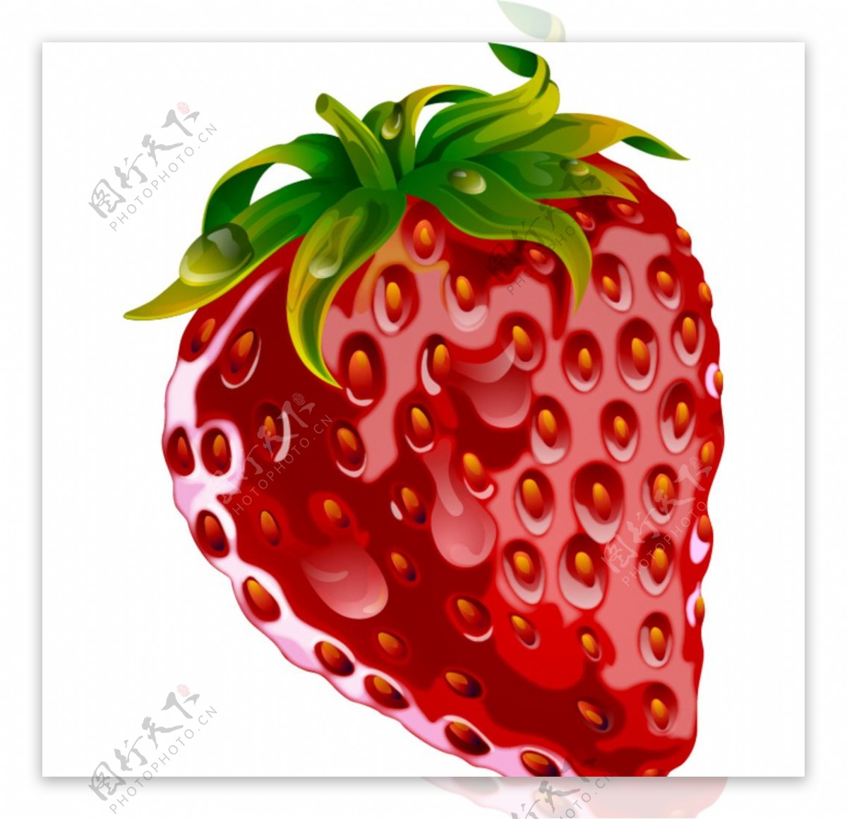 草莓水果矢量素材