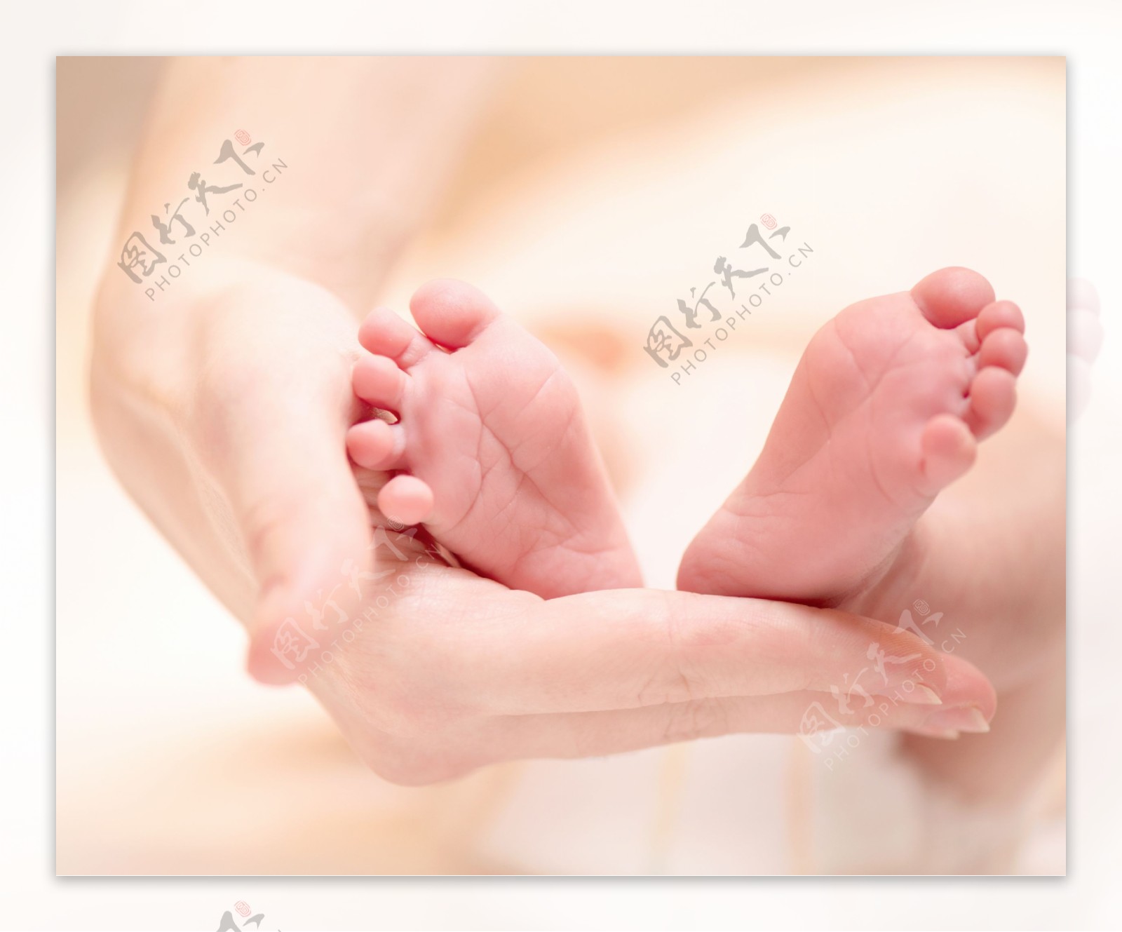 新生儿母婴手册