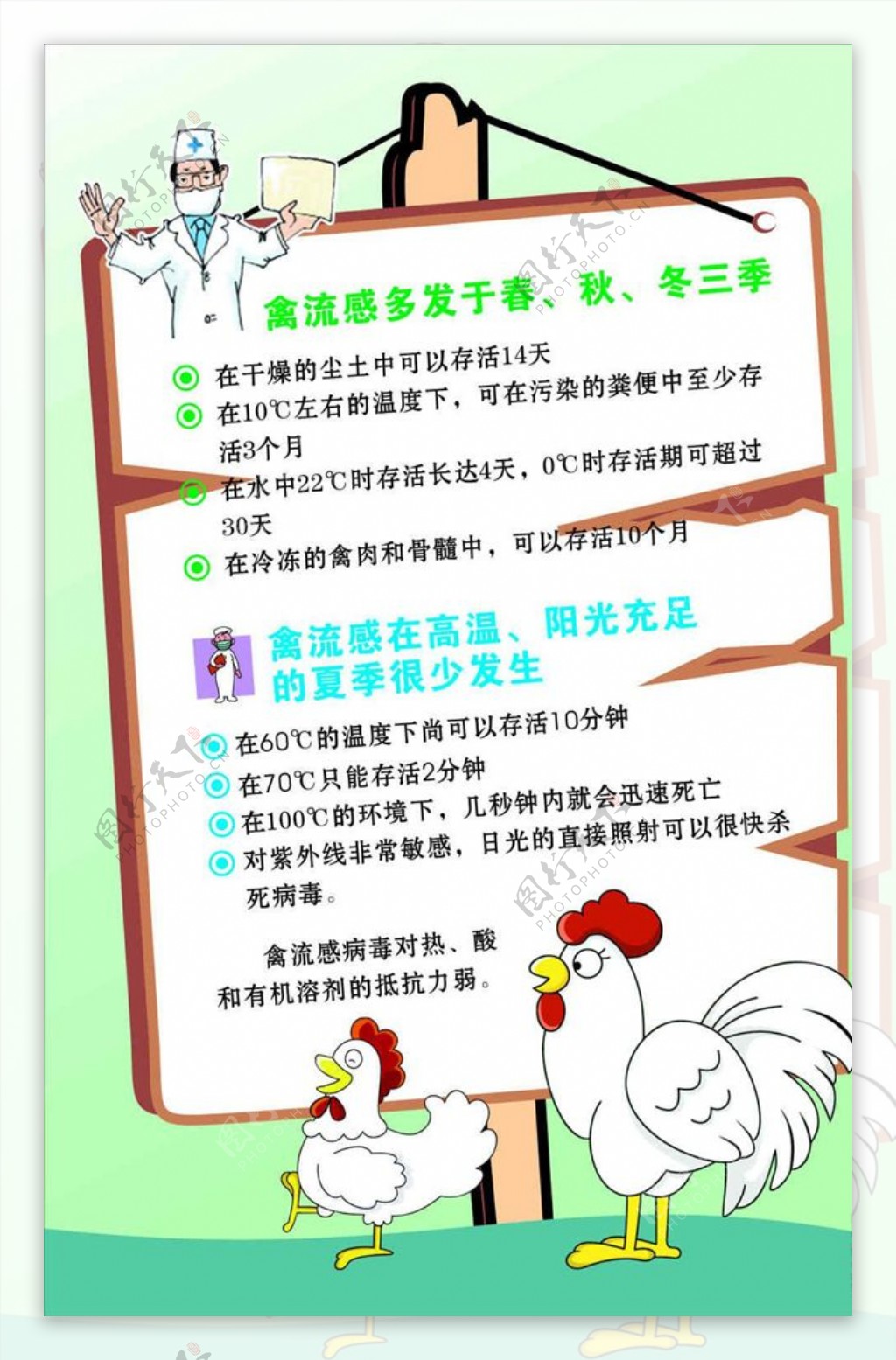预防禽流感宣传海报宣传活动模板