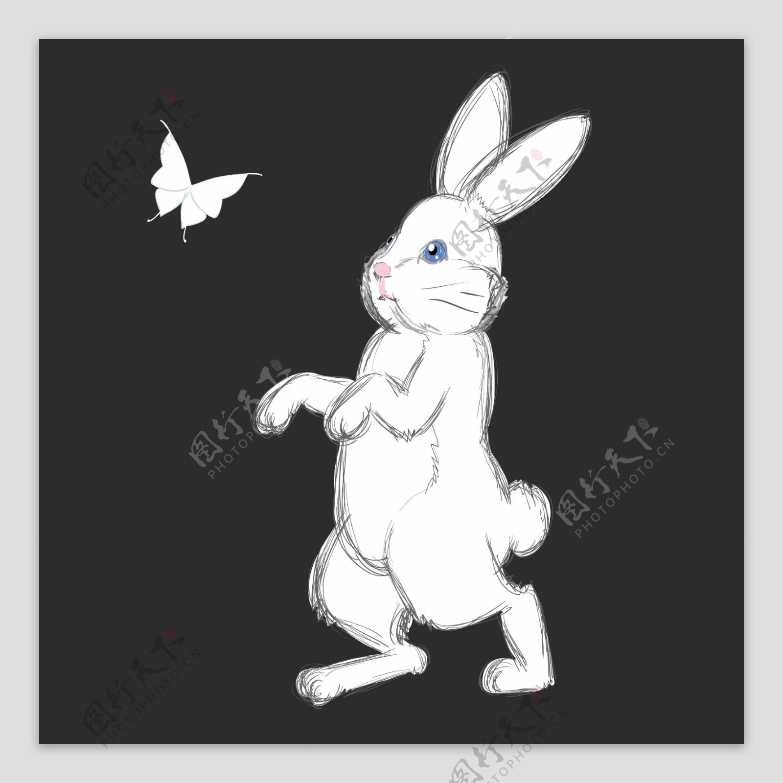 手绘线描兔子蝴蝶矢量图下载