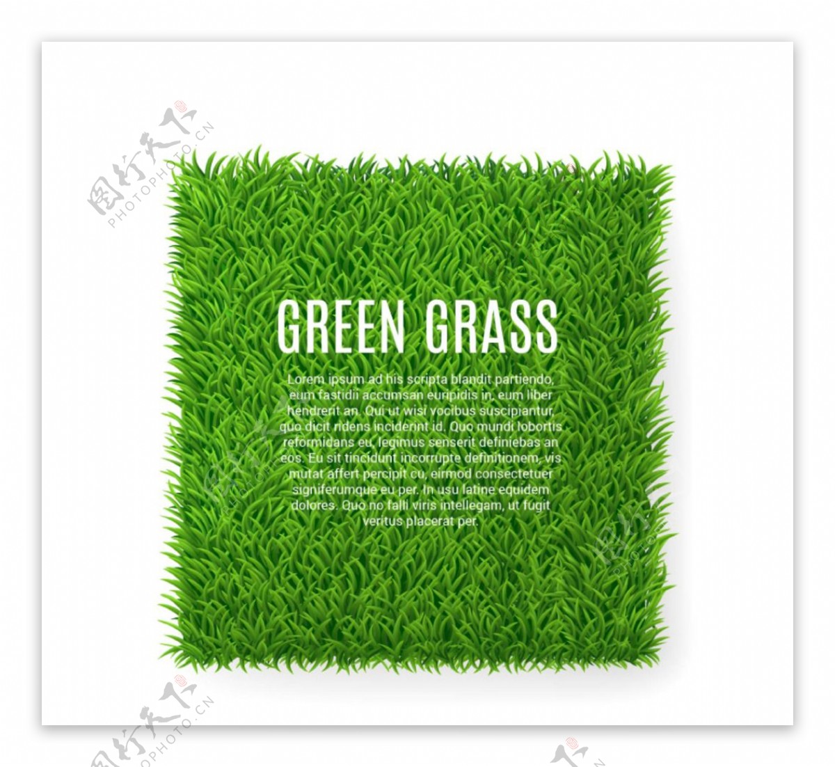 方形绿色草坪背景