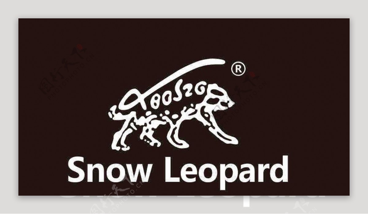 snowleopard雪豹