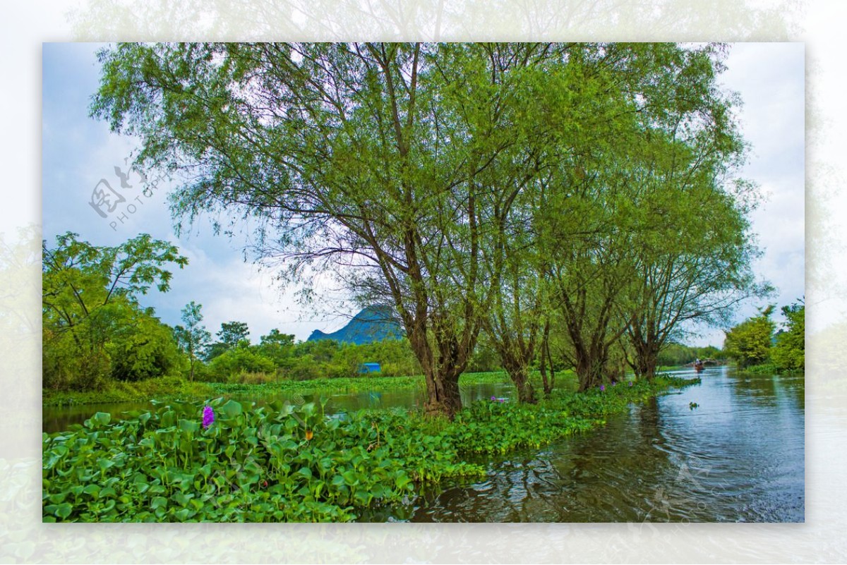 临桂会仙湿地公园