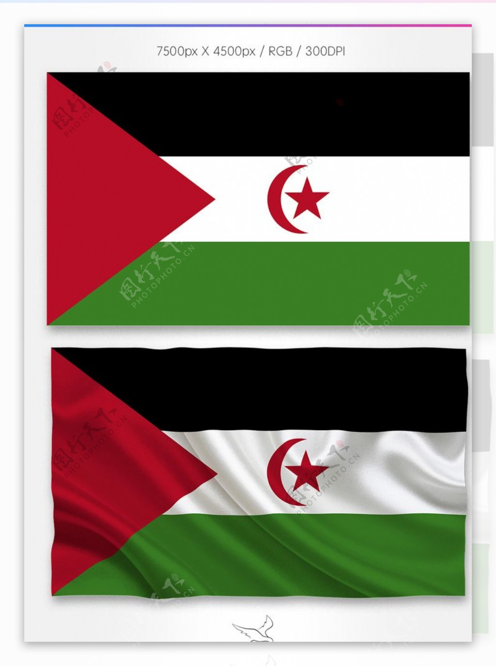 西撒哈拉国旗分层psd