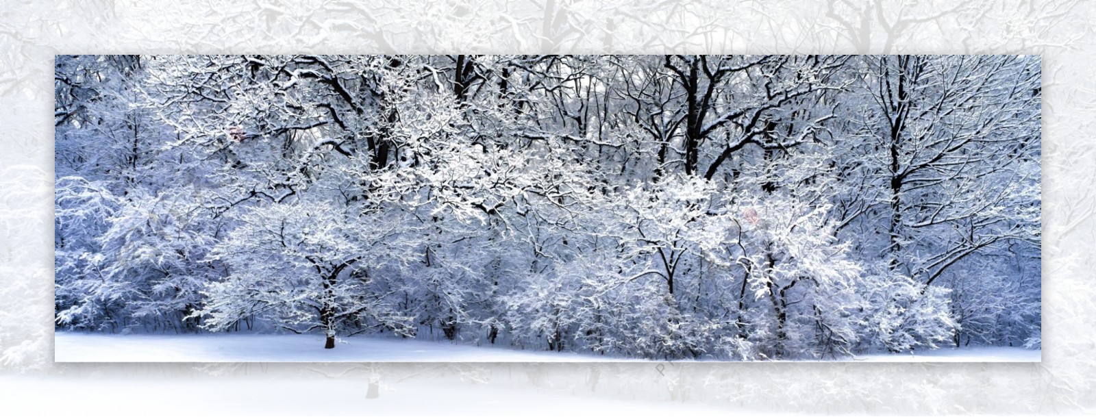 深林雪景艺术壁画
