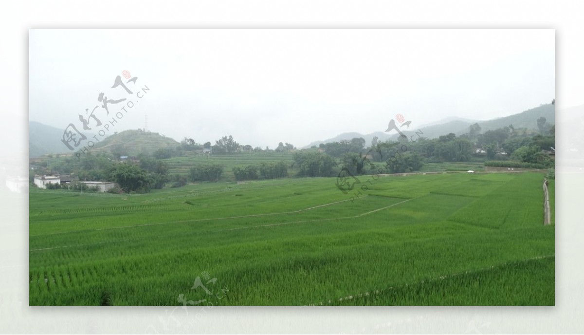 田野风景