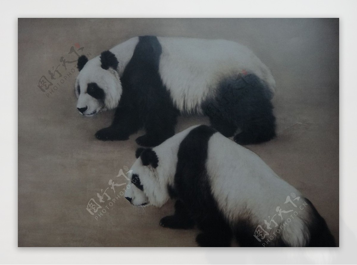 工笔国画大熊猫