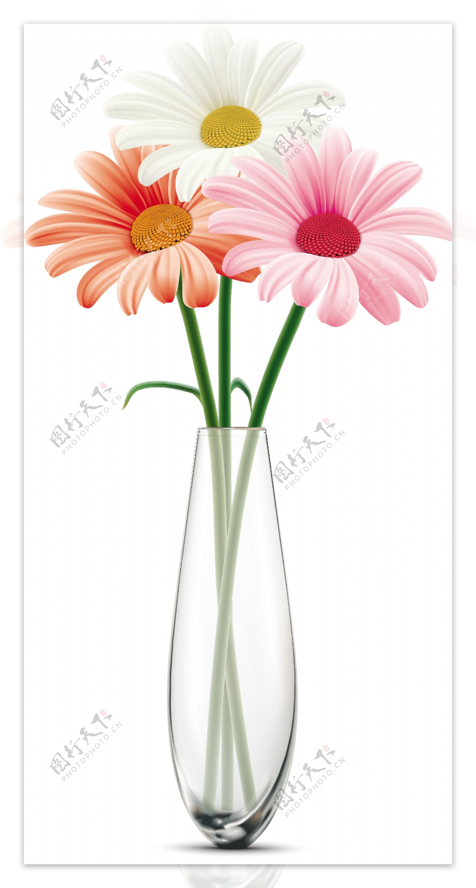透明花瓶里的彩色花朵矢量