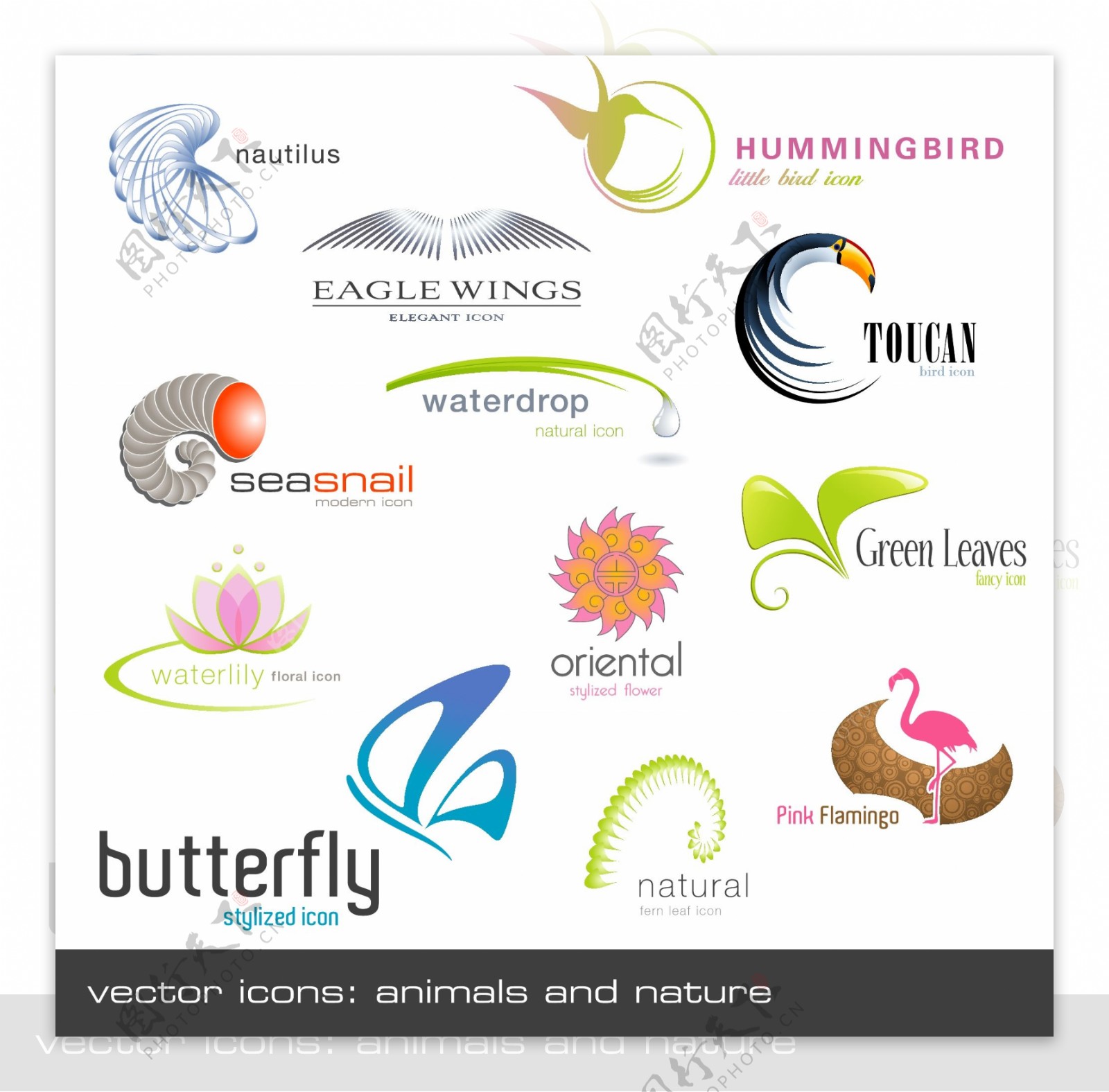 动物植物形状logo模板矢量素材