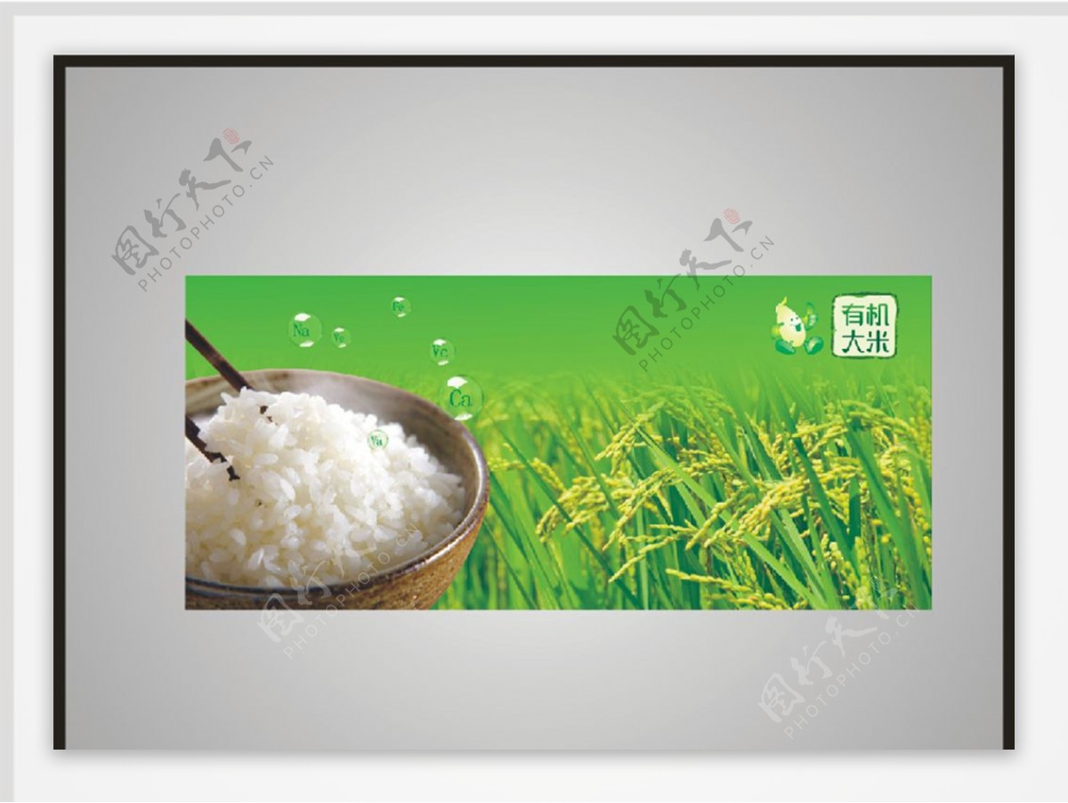 绿色健康水稻大米