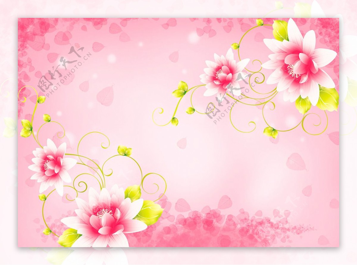 粉色手绘花朵背景墙