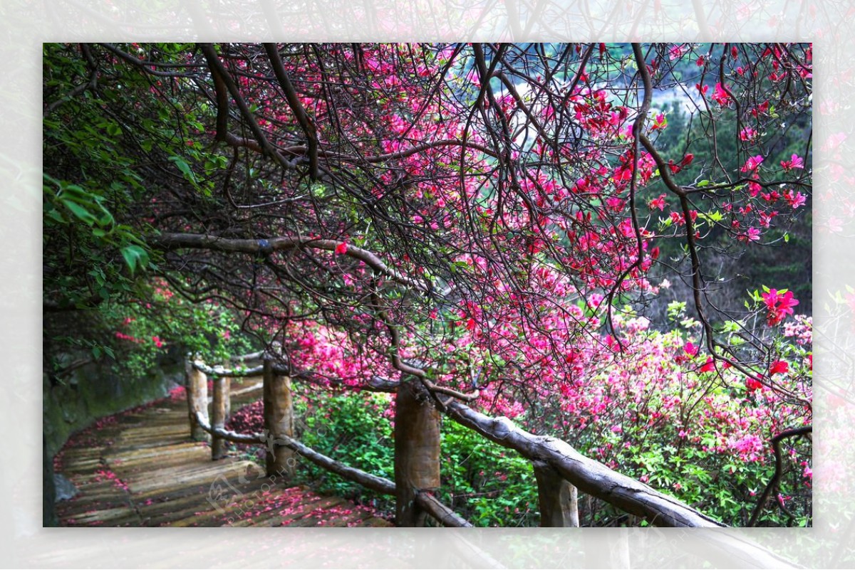 云雾山风景区