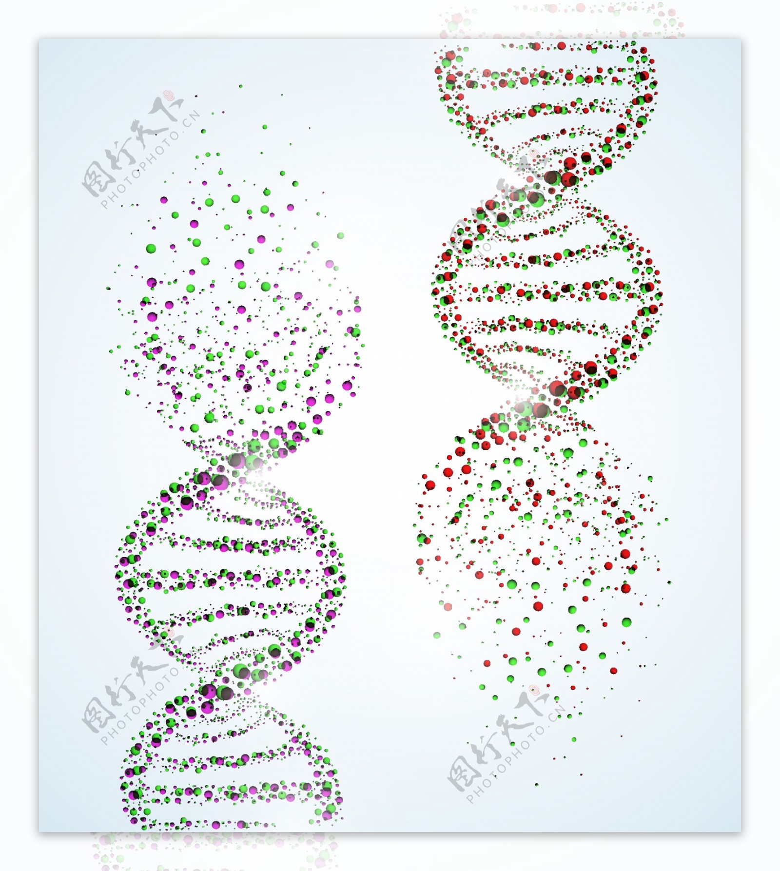 DNA遗传学遗传基因