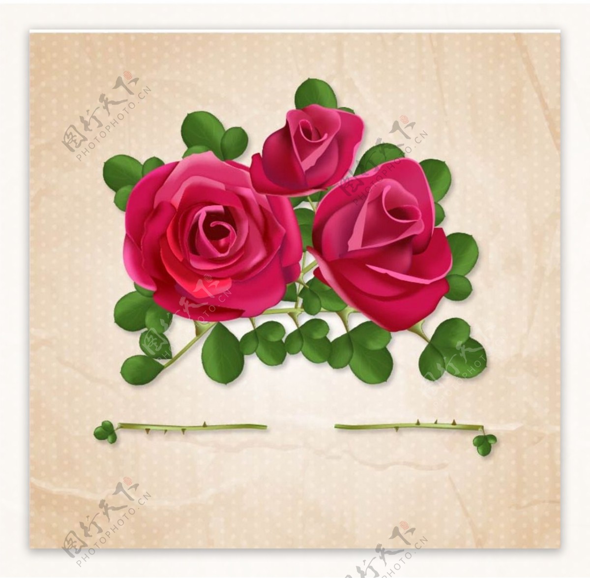 红玫瑰邀请卡设计