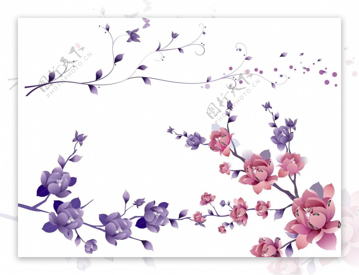 紫色花朵粉色花朵
