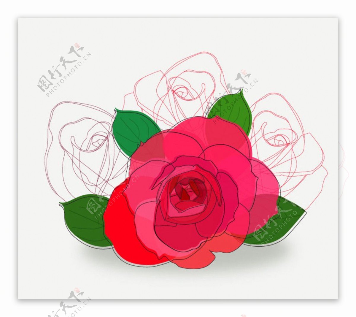 彩绘红色玫瑰花