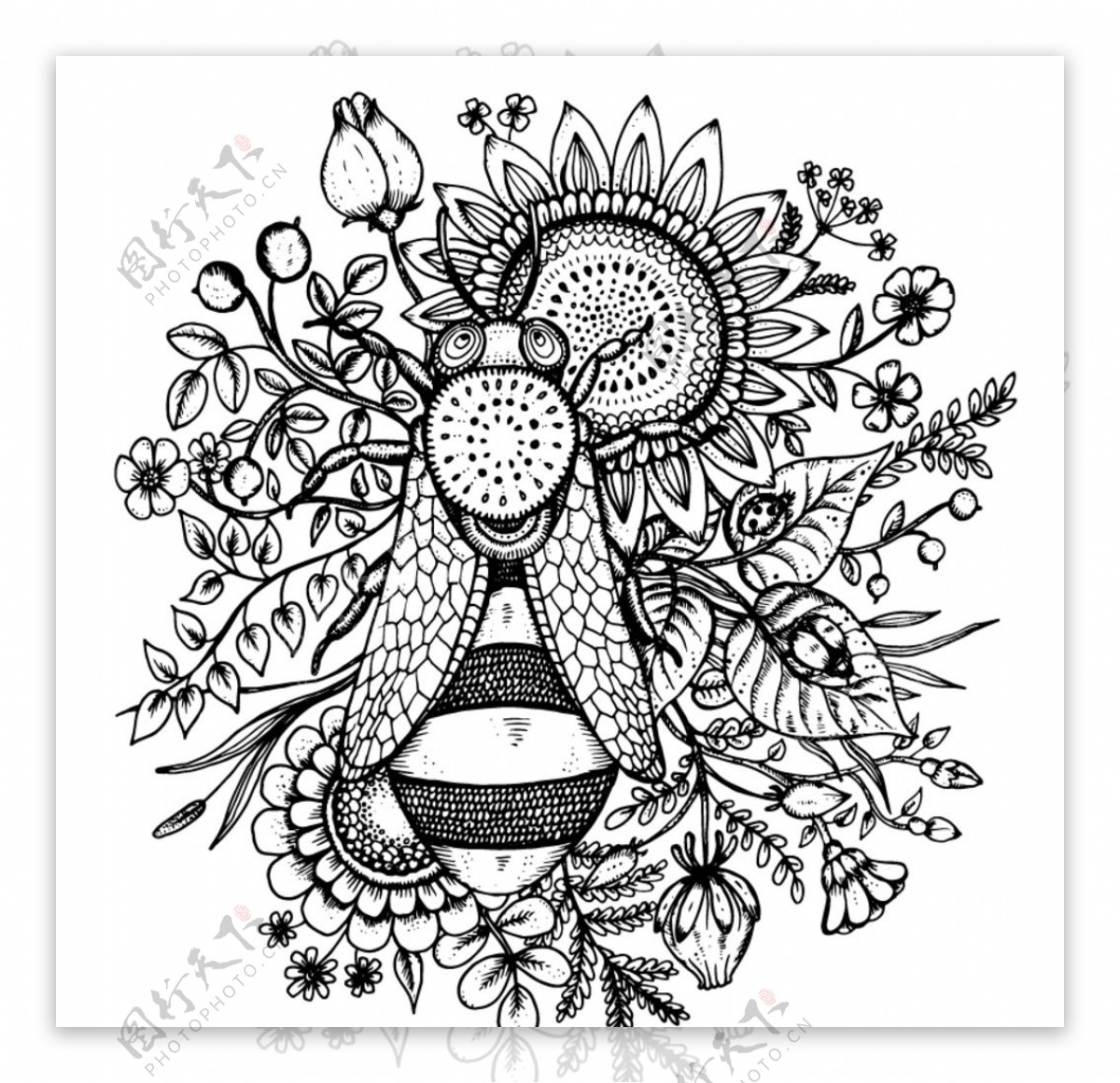 手绘蜜蜂和葵花矢量素材