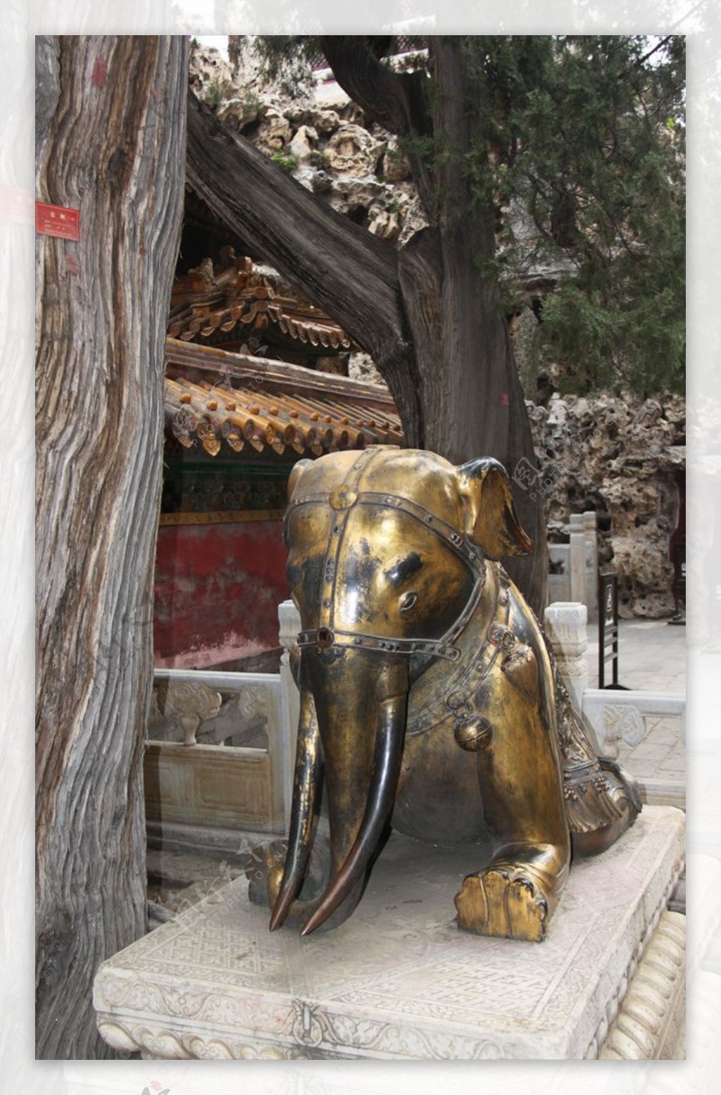 紫禁城御花园里的铜象