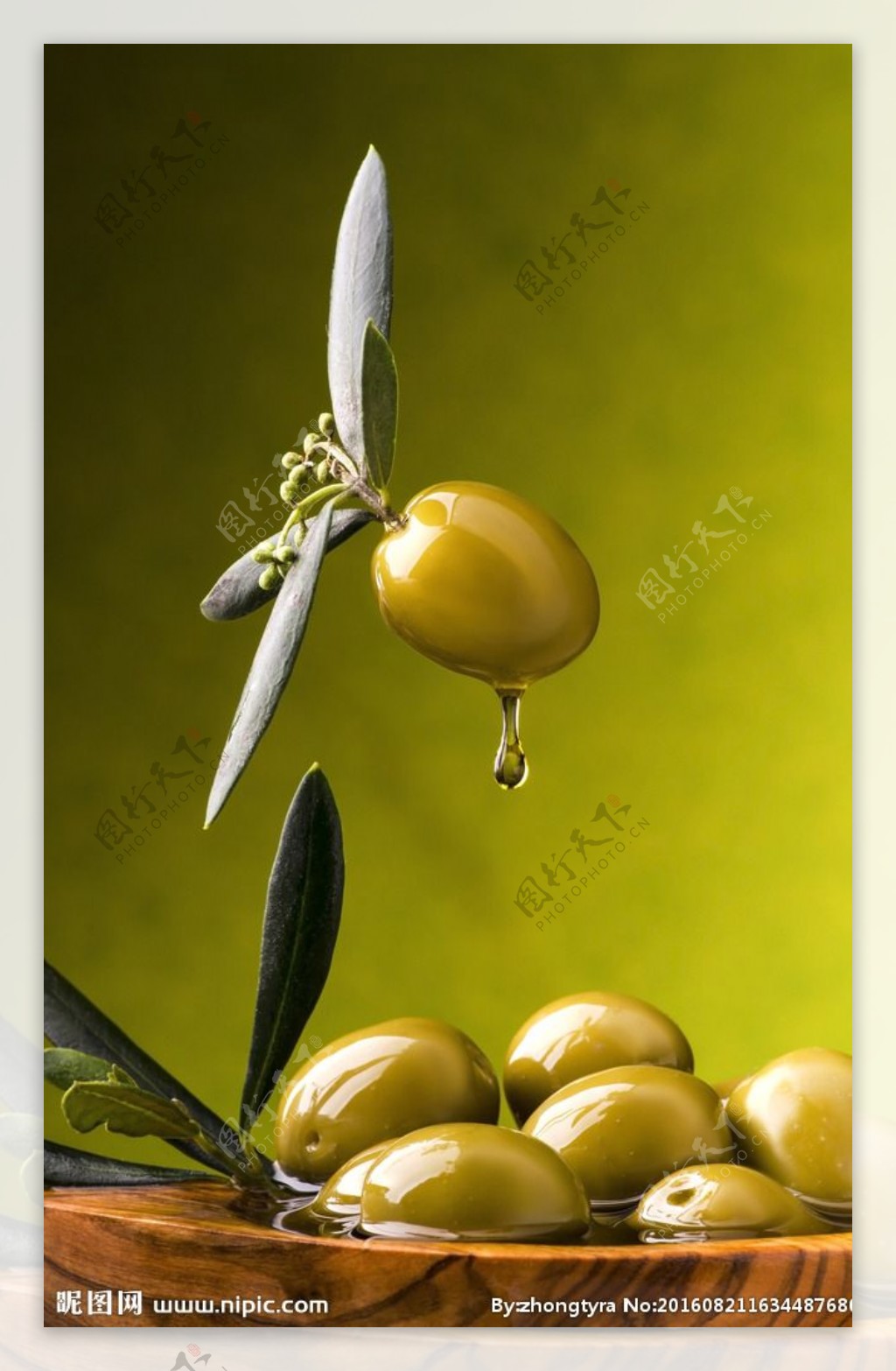 橄榄油