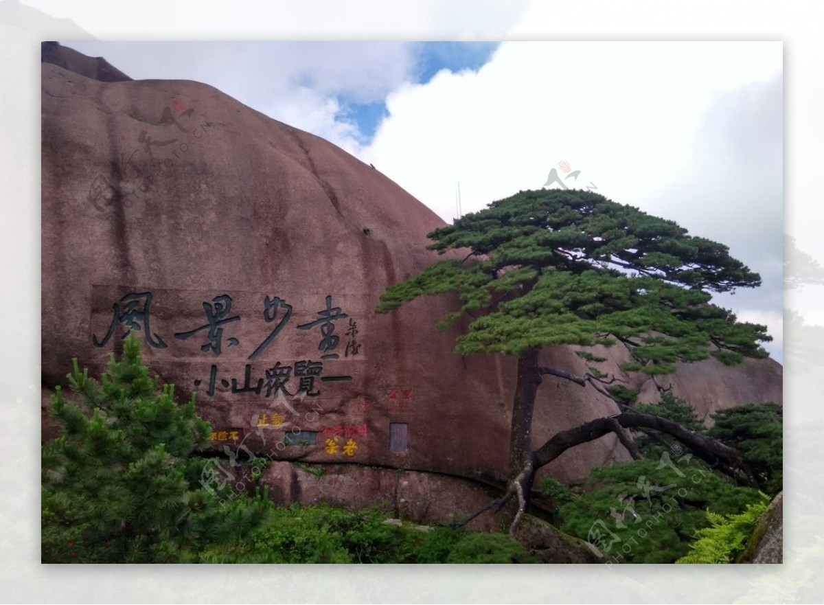 黄山迎客松