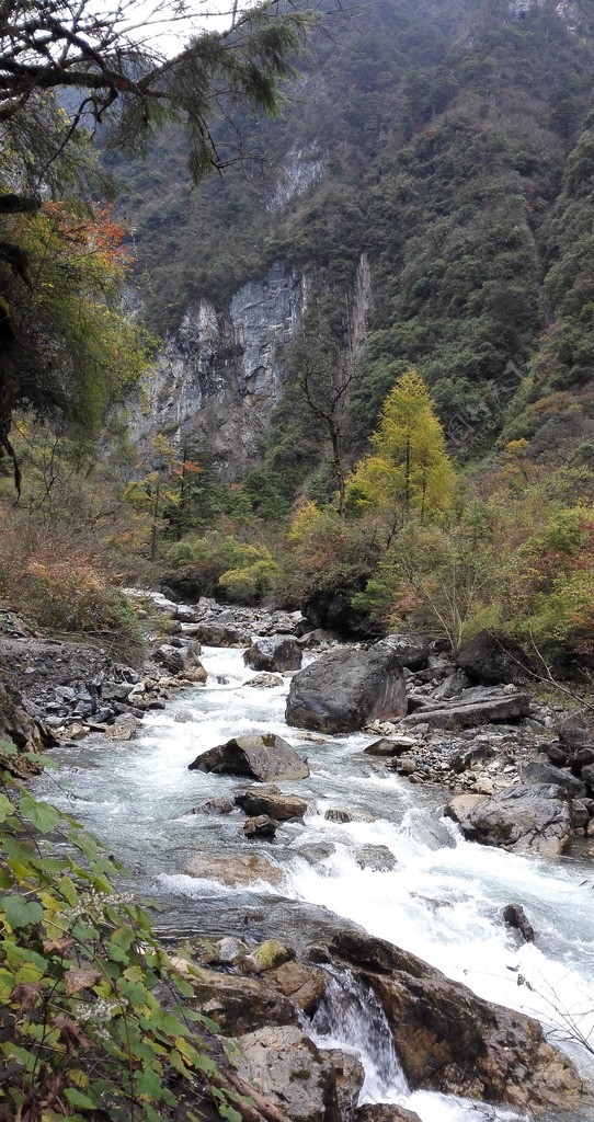 东拉山秋色红叶山