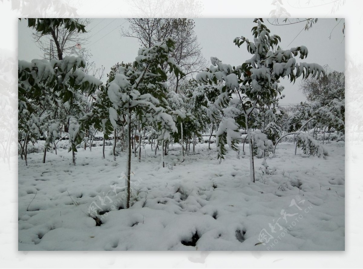 宝应初雪