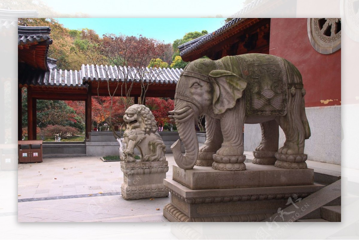 栖霞山红叶栖霞古寺