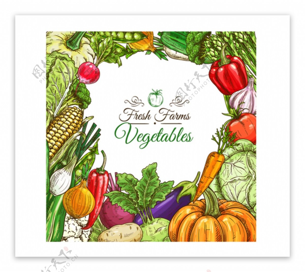 蔬菜边框