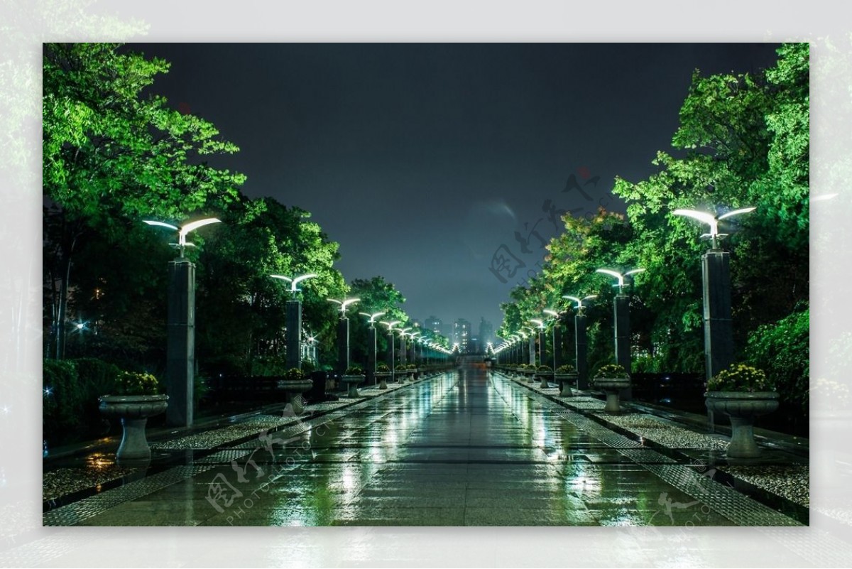 上海世博大道雨夜街景