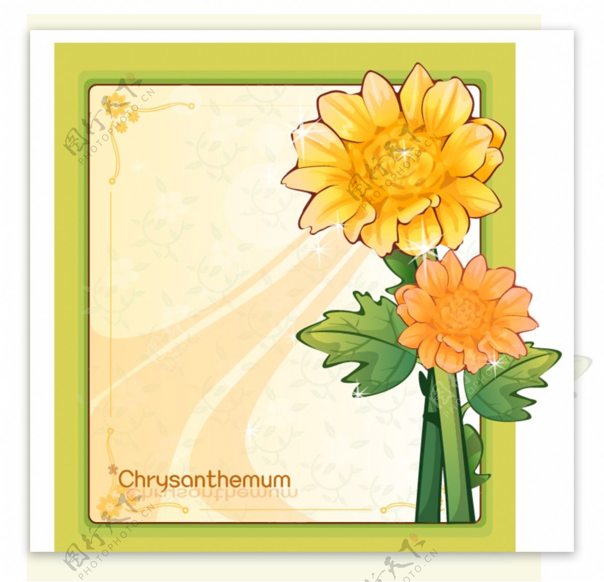 绿色边框和橙色菊花插画
