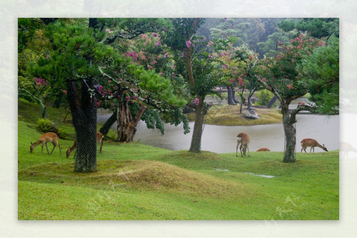 日本风景