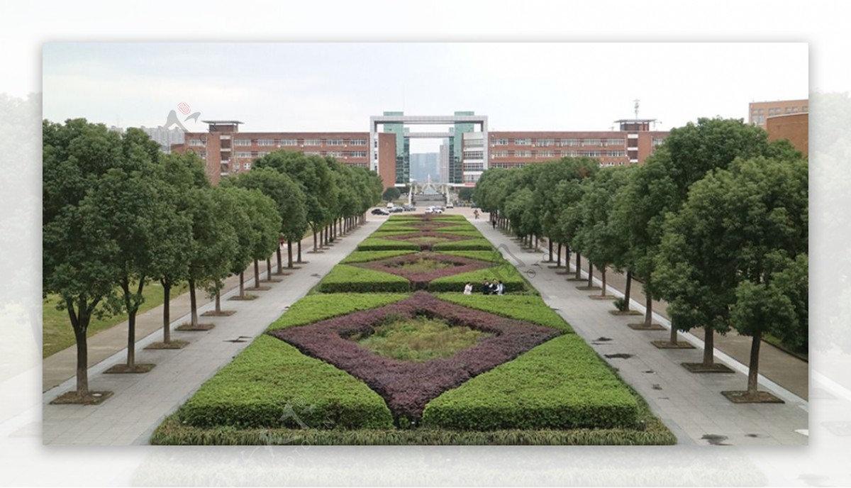宁波大学花圃花型
