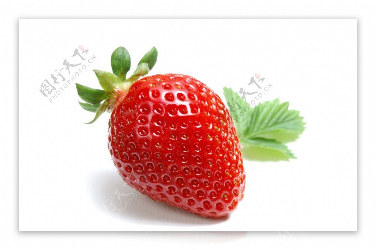 草莓高清摄影