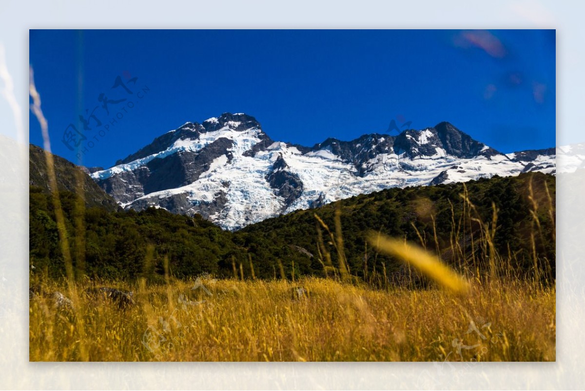 新西兰库克山