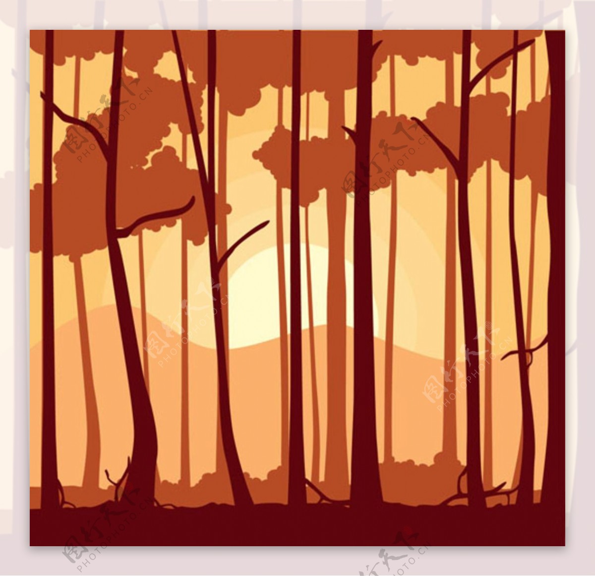 春季黄昏树林插图