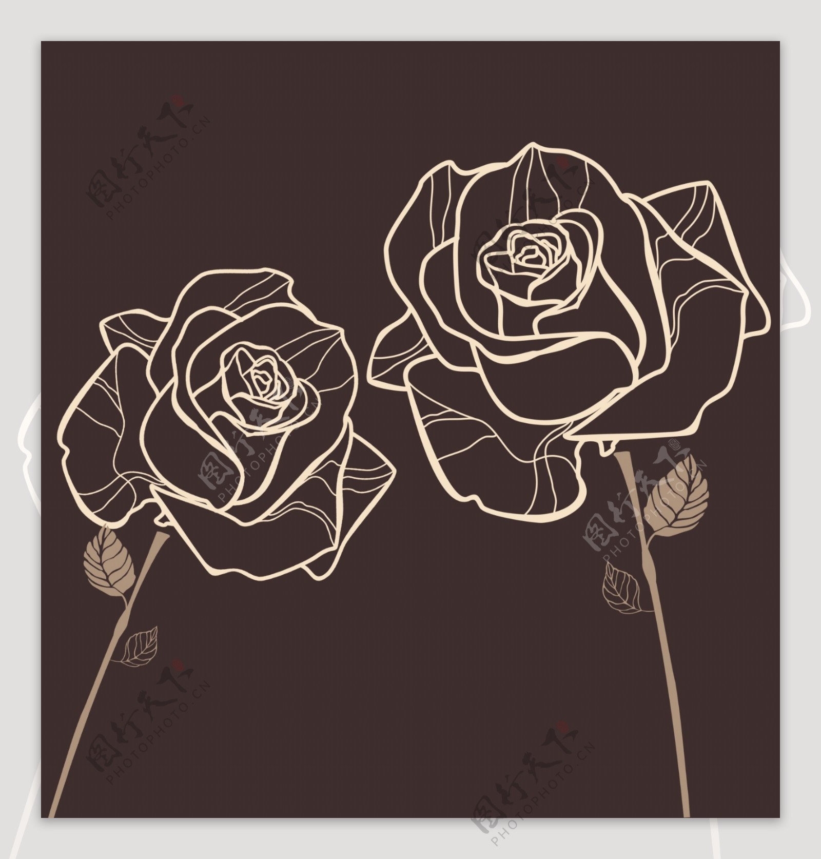 黑白玫瑰花图片素材-编号25568821-图行天下