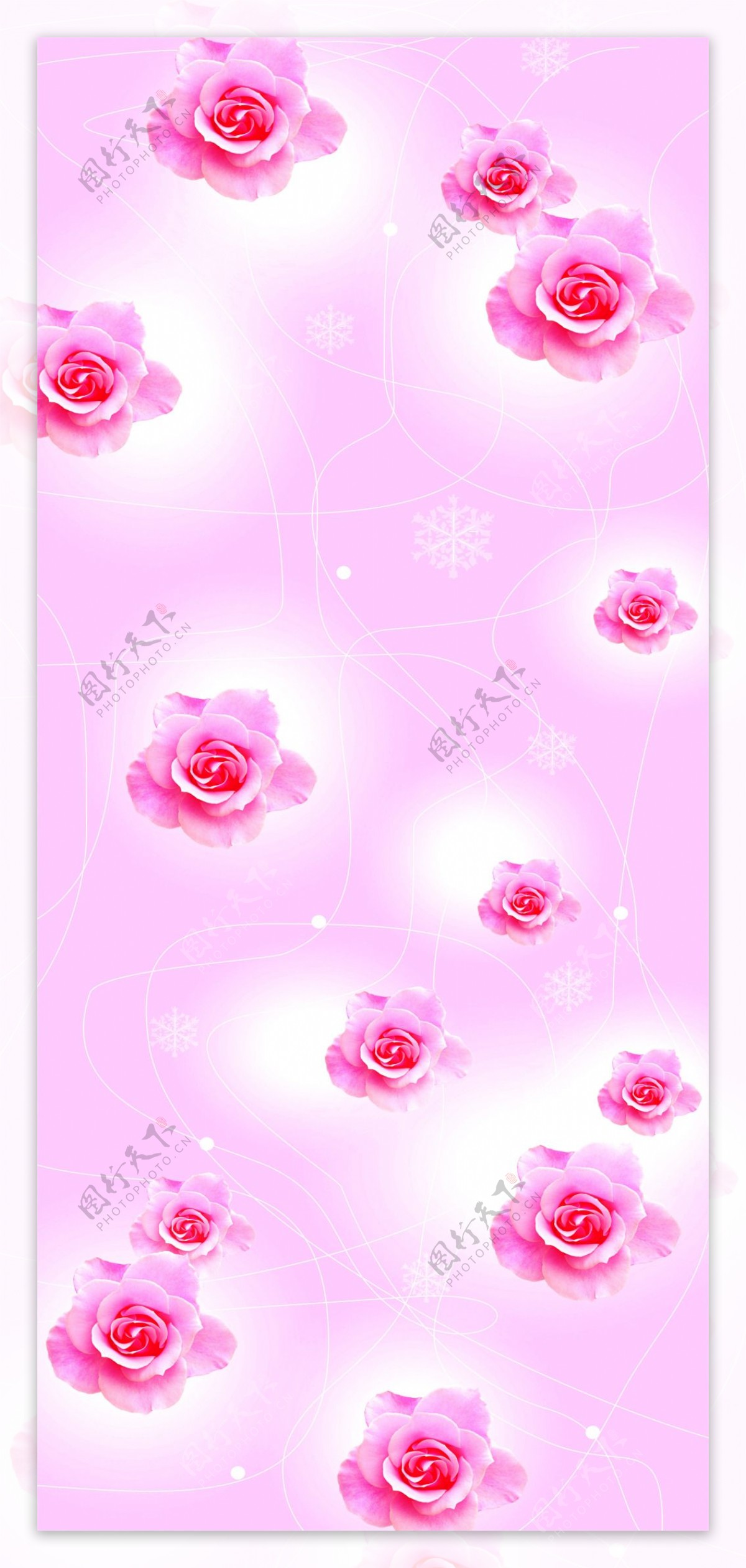 粉玫瑰花朵粉色背景