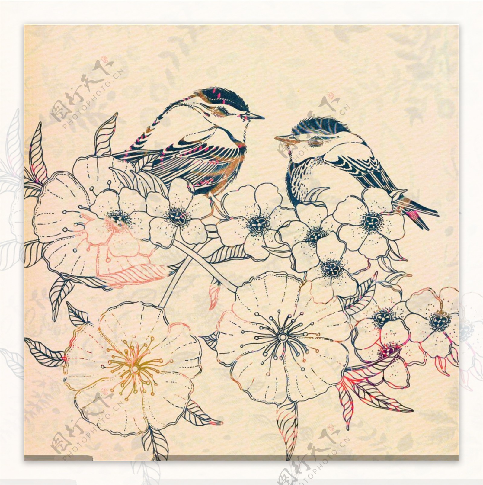 水彩花朵小鸟插画