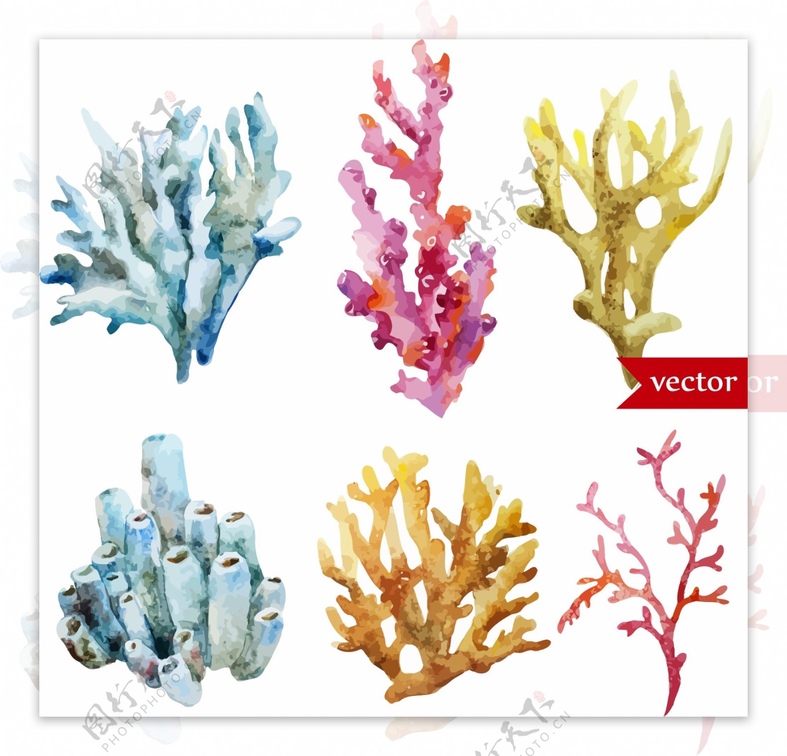 卡通彩色珊瑚水彩夏日海洋动物元素