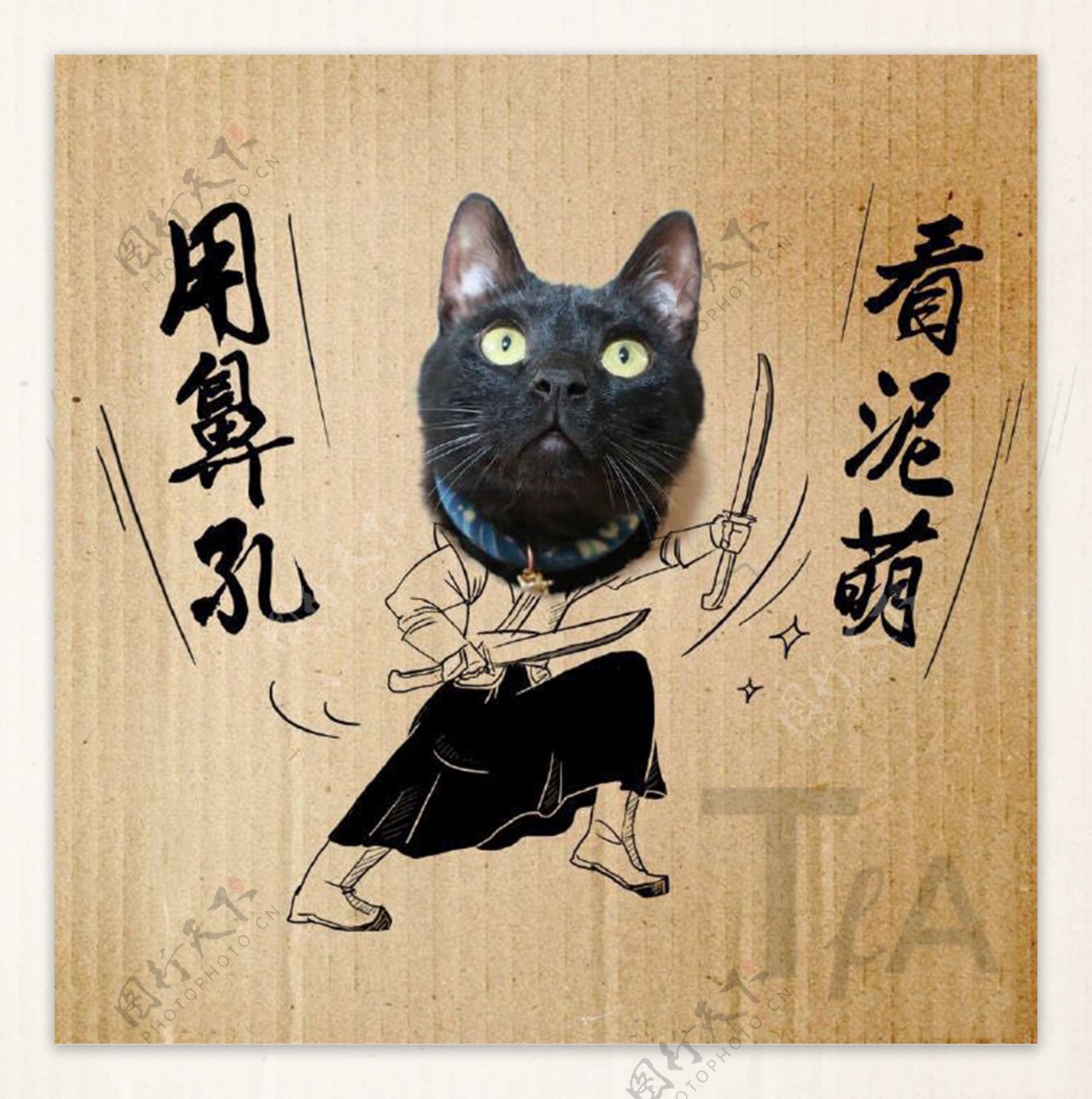 猫咪插画素材