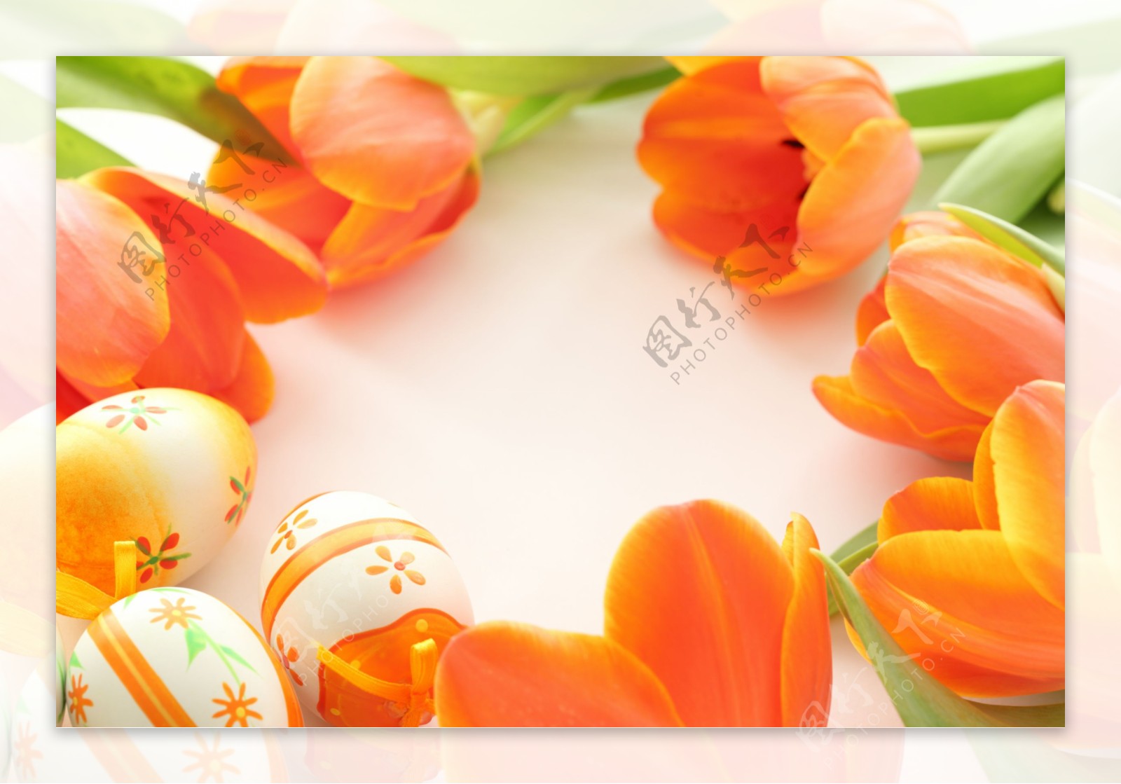 郁金香与复活节彩蛋图片