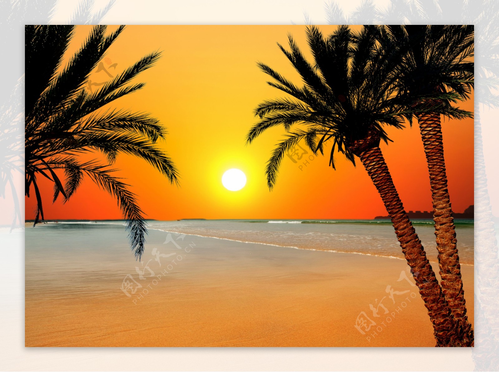 夕阳椰子树海面风景图片