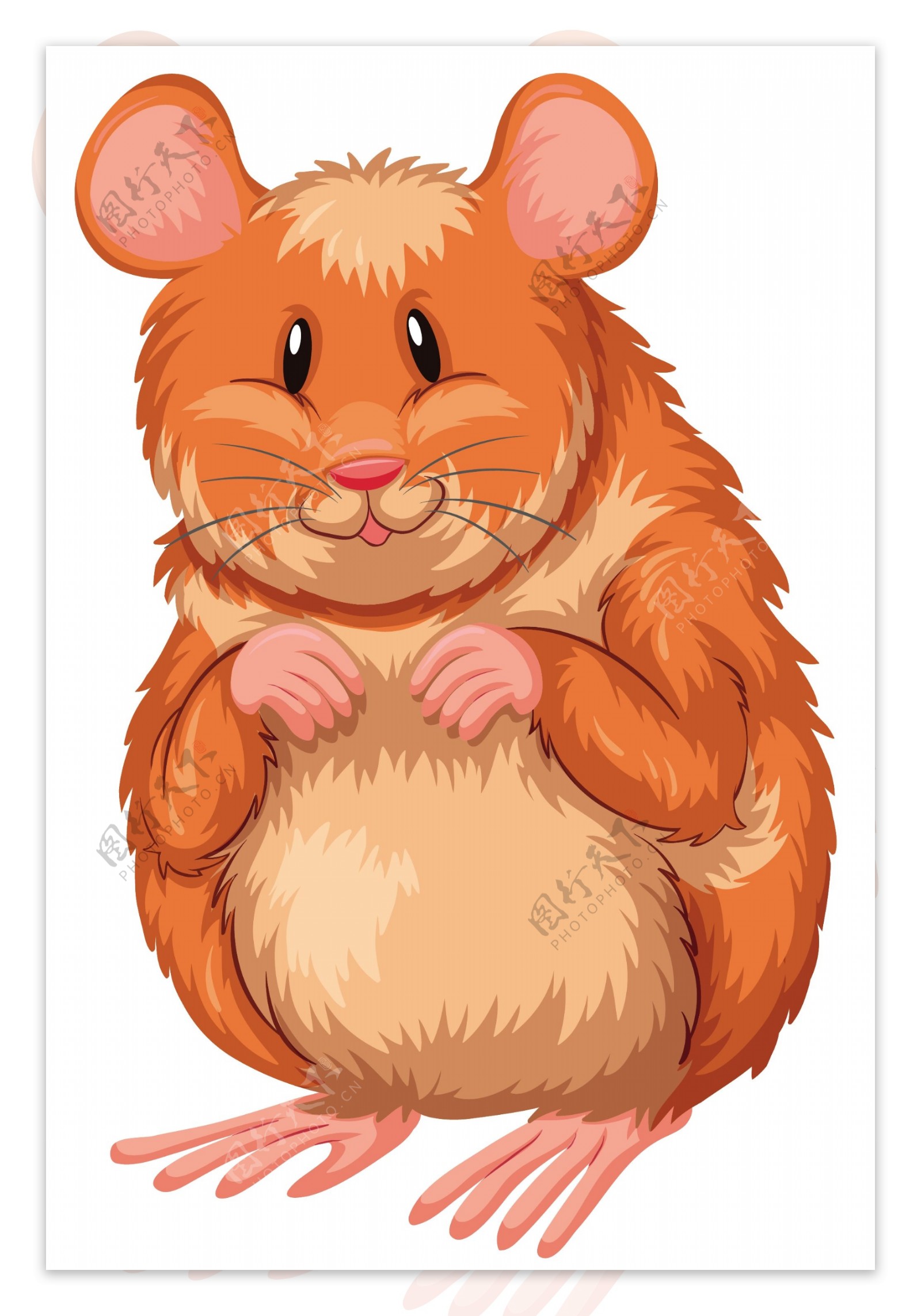卡通可爱的小仓鼠