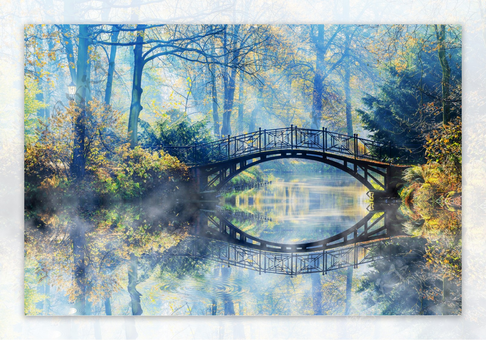 秋天树林里的拱桥图片